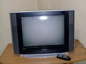 Televisor Samsung 21 pulgadas, pantalla plana