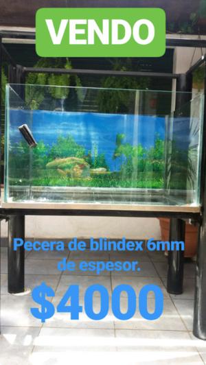 Pecera de blindex