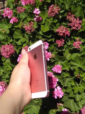 iPhone SE rosa/pink 16GB