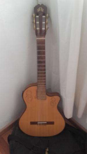 guitarra la alpujarra tipo godin exelente vendo urgente