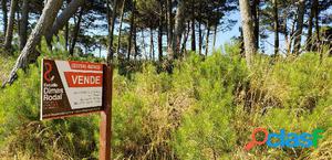 Espectacular terreno en Pinamar Norte - Alamos II