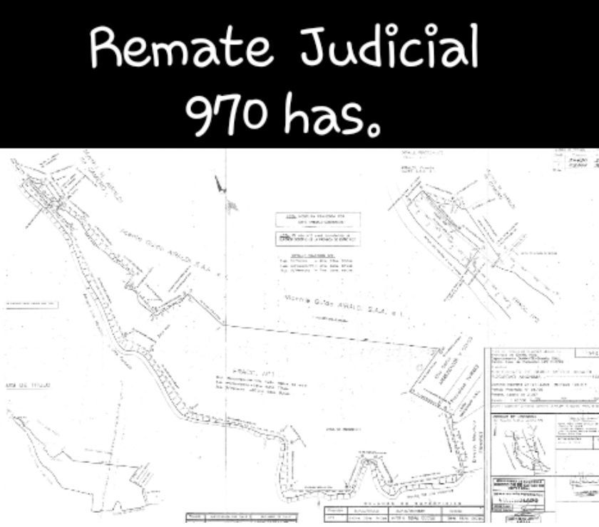 REMATE JUDICIAL Porción de campo 970has.