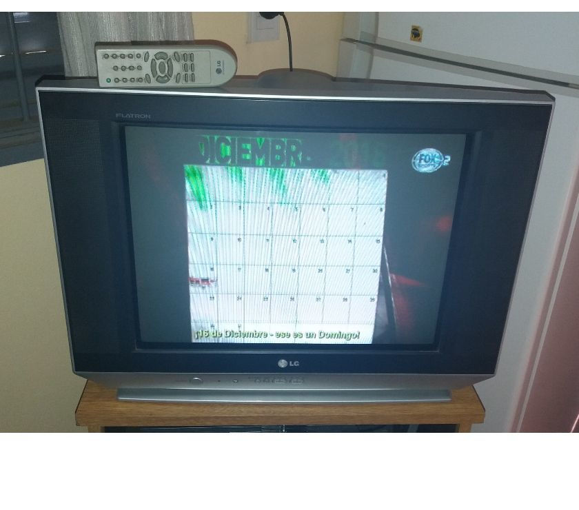 Vendo Televisor LG 21