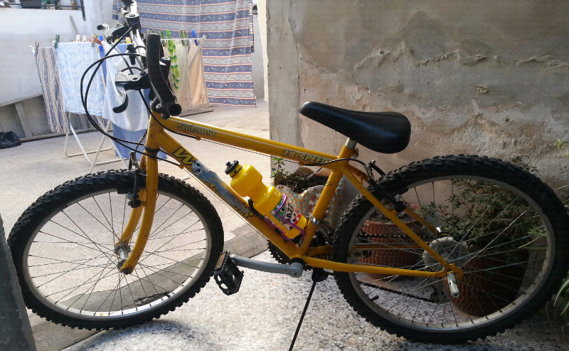 Bicicleta Mountainbike rodado 24