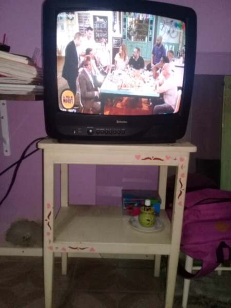 Vendo televisor con mesita