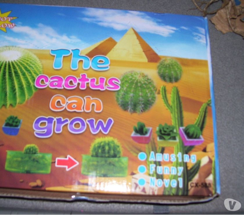cactus de gel se riega y crece pesos 40