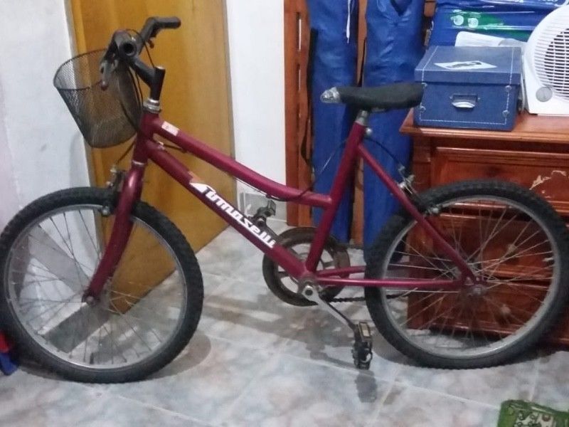 Bicicleta infantil rodado 20
