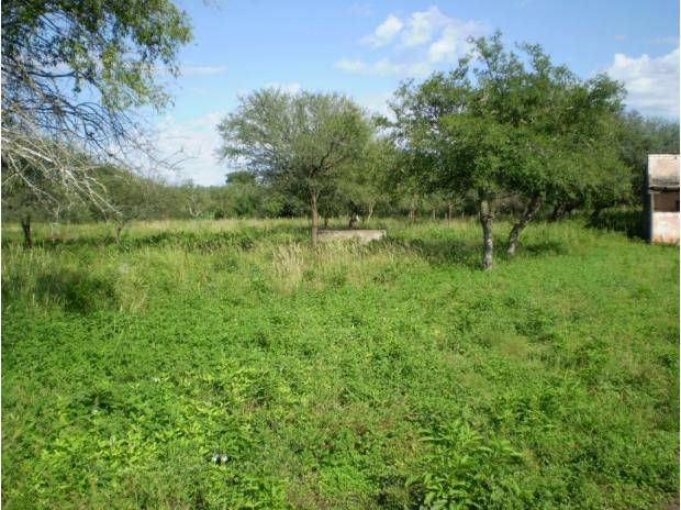 CAMPO PARA ENTRE CORDOBA Y SANTIAGO