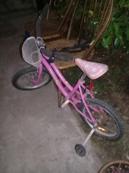 Vendo o permuto bici de nena