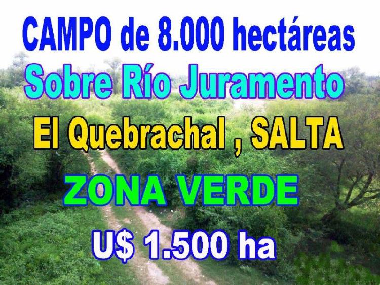 Campo de 8.000 ha sobre RIO JURAMENTO en ZONA VERDE El