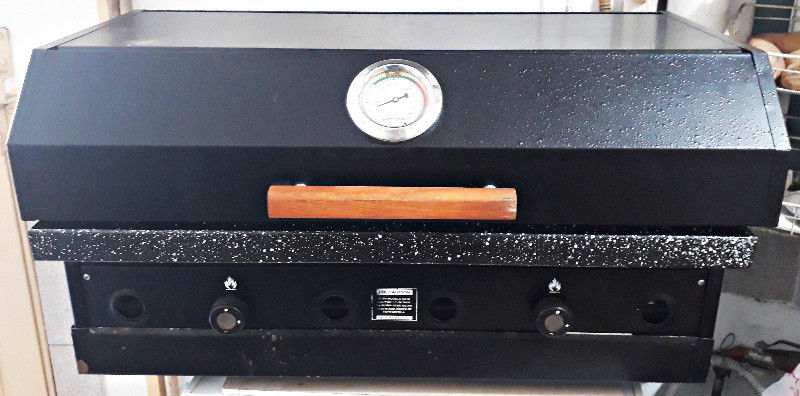 Parrilla A Gas Grande + Extractor De Humo Spar