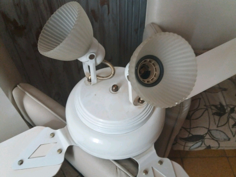 Ventilador de techo