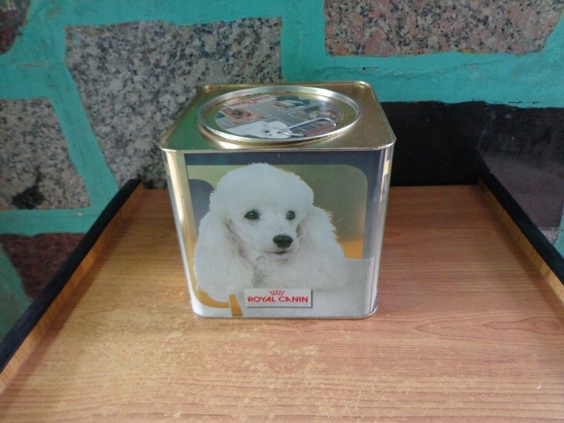 lata cuadrada contenedora de alimento de perros