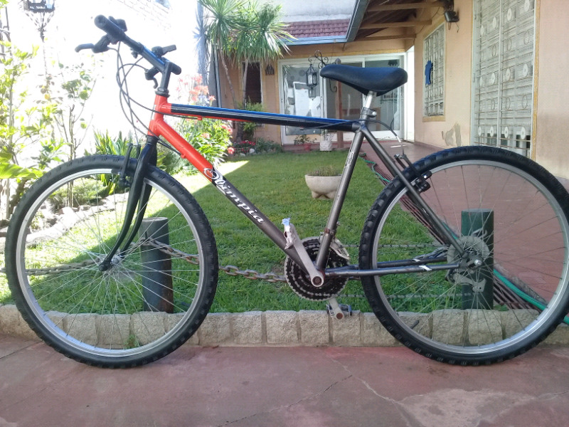 Bicicleta Mountain Bike