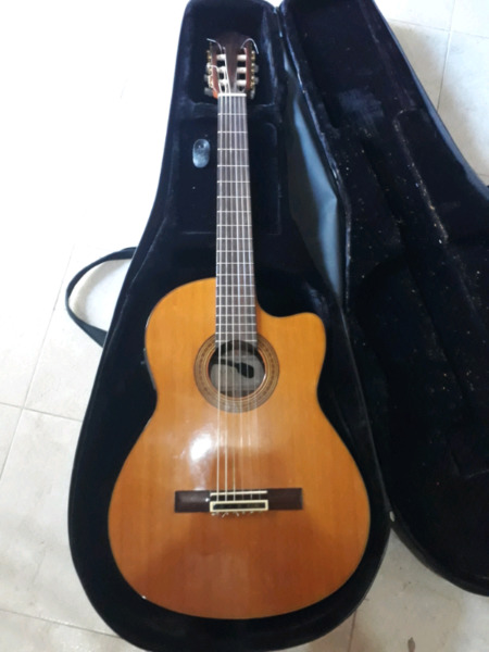 Guitarra Electrocriolla Yamaha Cgx171Cca