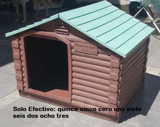 Cucha Casa Para Perros Plástica Térmica Importada Lavable