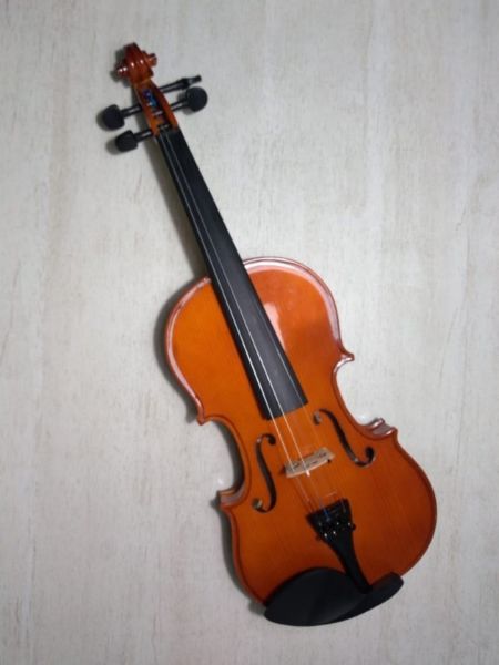 Violin Steinner Strauss DVN-