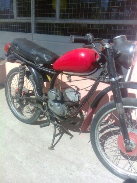 vendo canarios roller