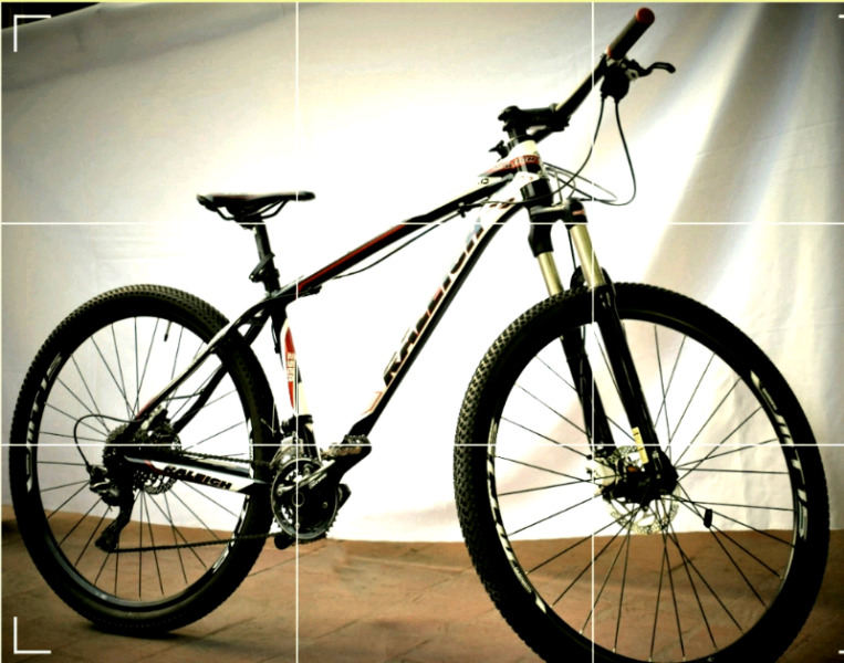 Bicicleta Raleilg  talla 17