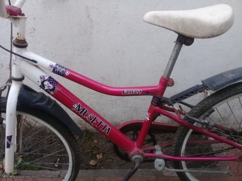 Bicicleta rodado 24