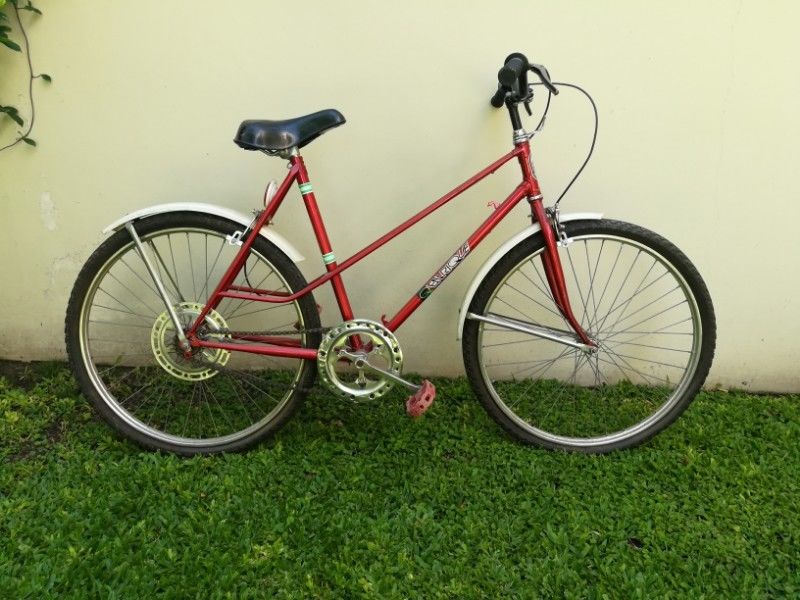 Bicicleta roja y blanca vieja Enrique