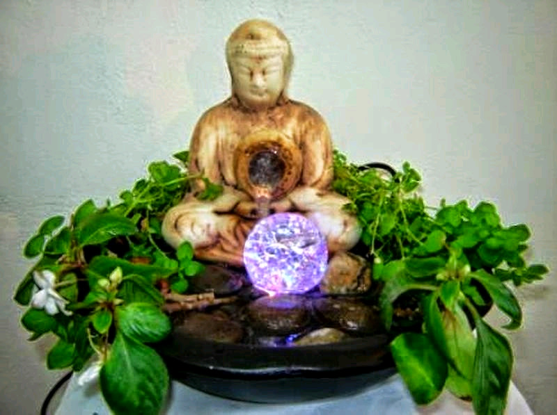 Buda Abundancia loto