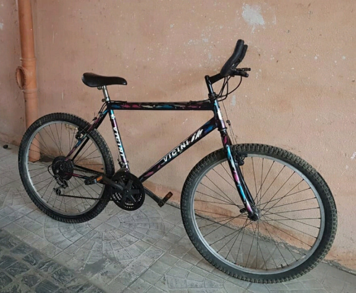 Bicicleta profesional rodado 28