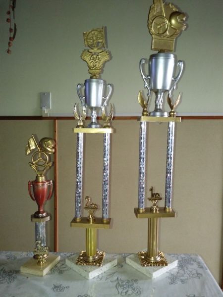3 copas y trofeos de automovilismo, tenis, handball, etc