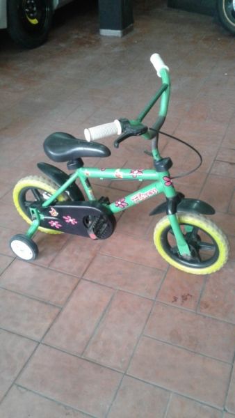BICICLETA R12 (IDEAL PARA REYES)