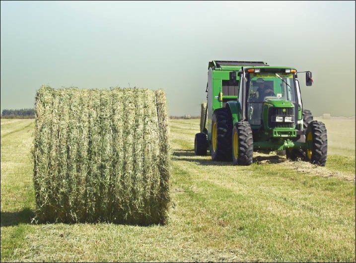 rollos de alfalfa pura