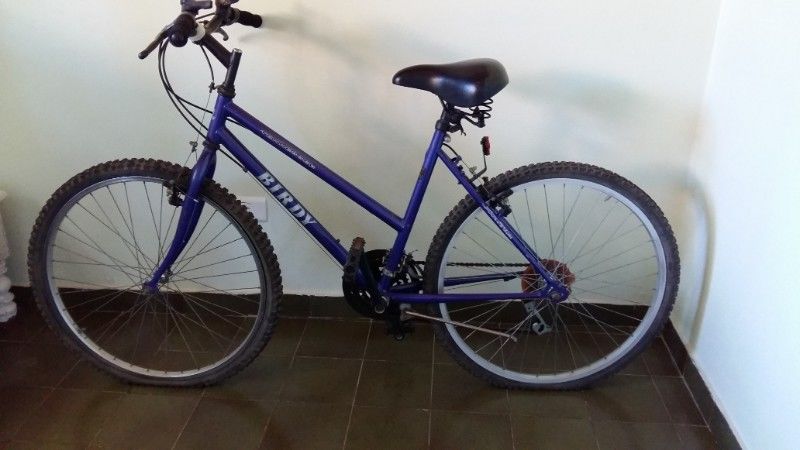 Bicicleta marca Birdy