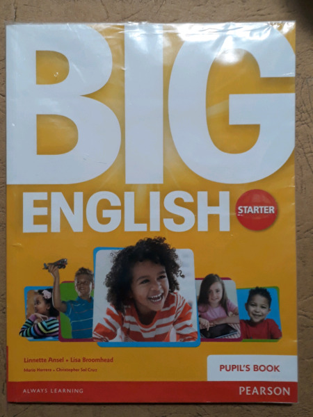 Big english starter activity book