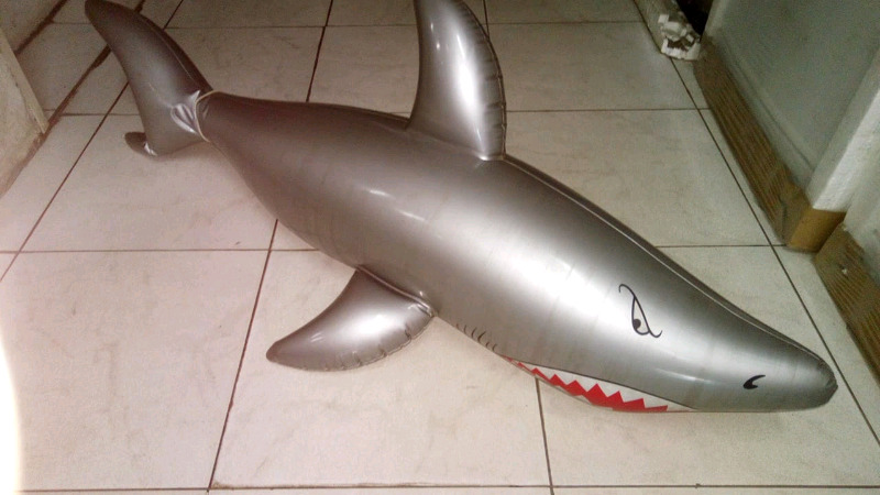 Tiburón inflable pileta