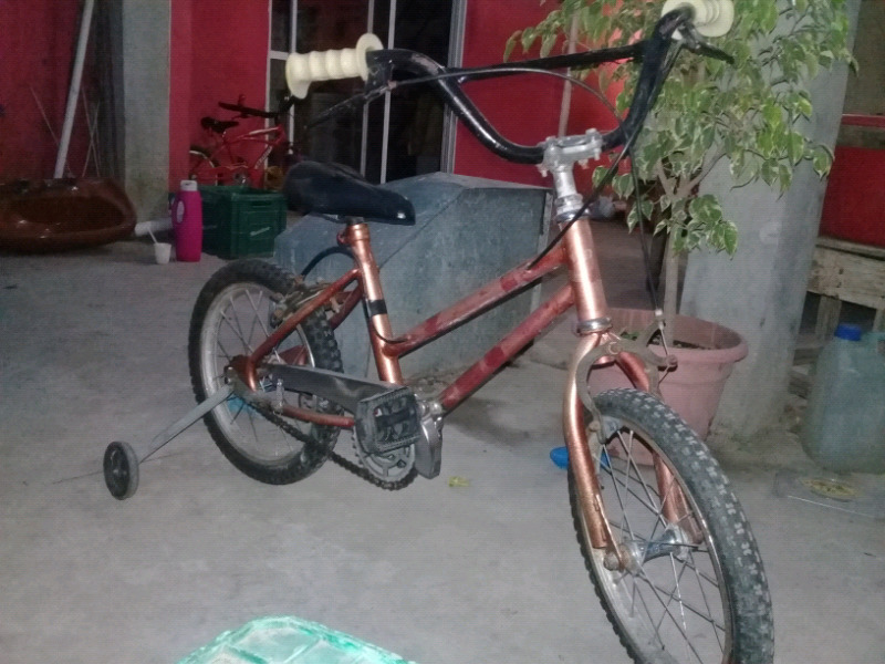 Vendo bicicleta con rueditas