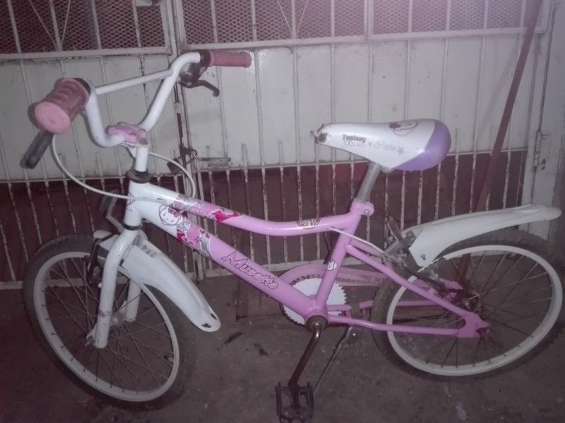 bicicleta musseta de nena