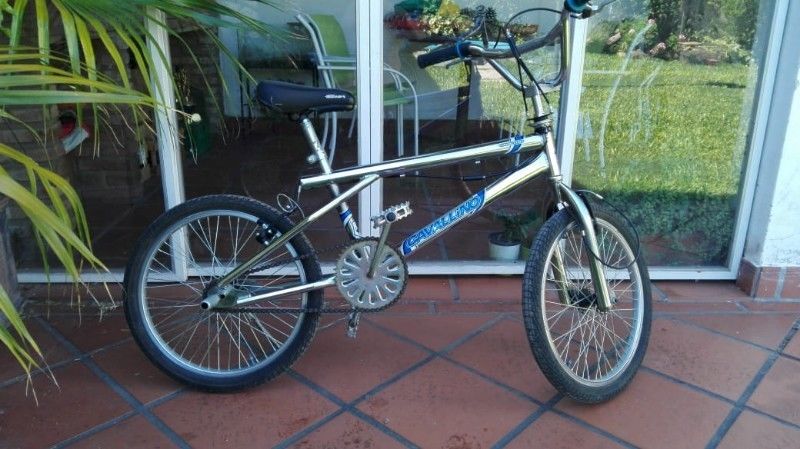 BICI CROMADA R20