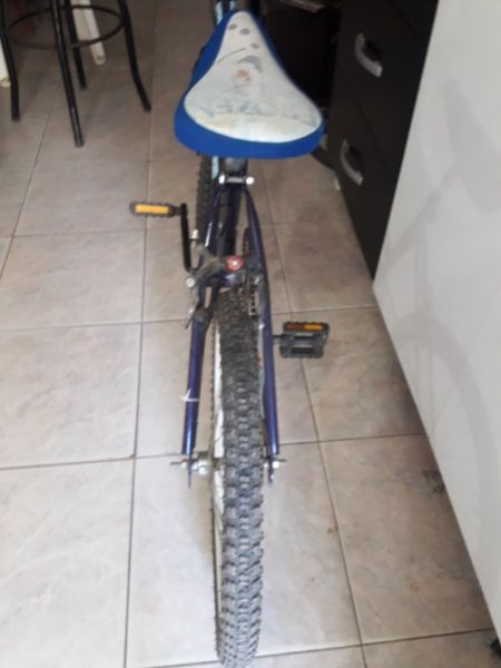 Bicicleta rodado 20 mujer