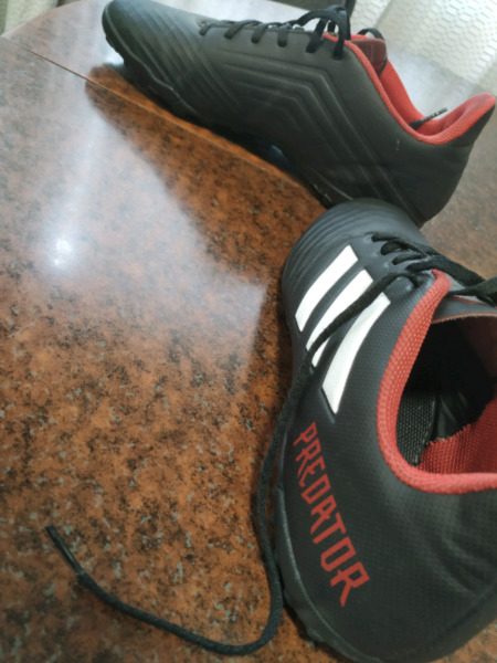 Botines Adidas predator