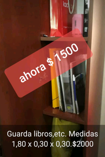 Despensero de 0.30 con puerta