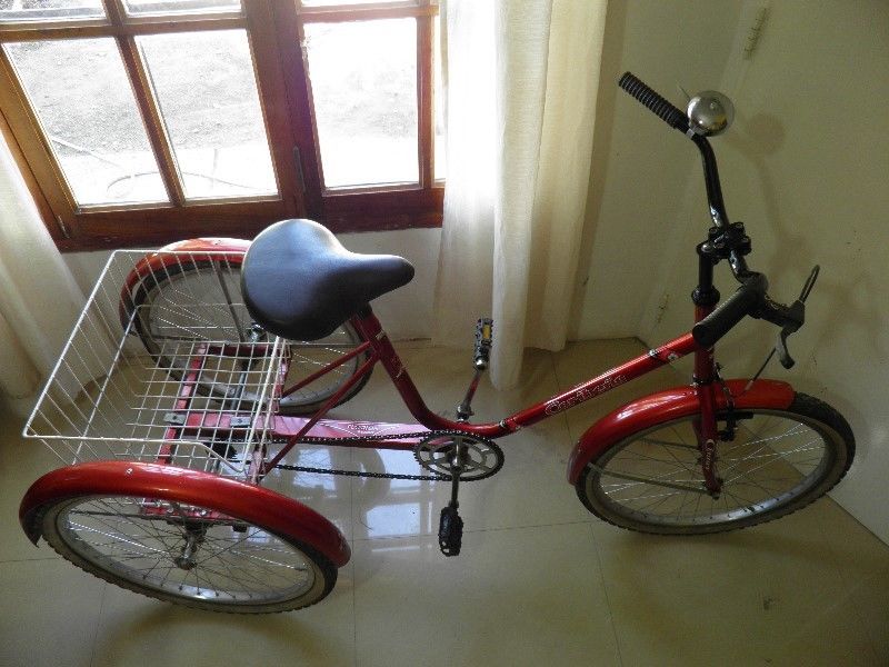 Vendo Bici Triciclo!!!