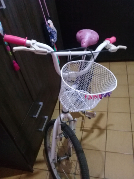 Bicicleta nena rodado 20 Palermo