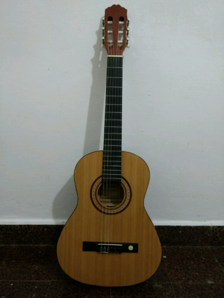 Guitarra Tenson 3/4 con funda y una pua