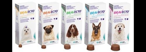 PASTILLAS BRAVECTO ANTIPULGAS ENVIOS A DOMICLIO SIN CARGO