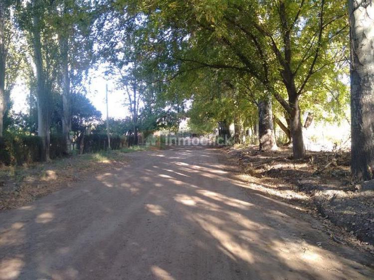 TUNUYAN COLONIA DE LAS ROSAS VENDE EXCELENTE finca 8,5