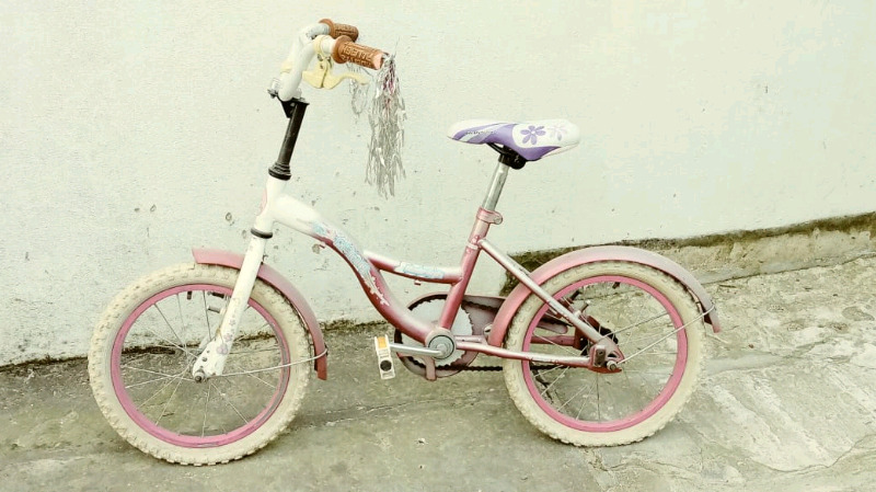 VENDO Bicicleta para nena en La Plata