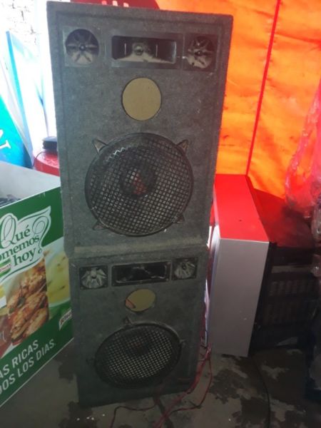 Vendo 2 parlantes de 12