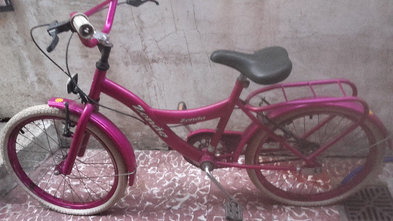 bicicleta rodado 20 nena