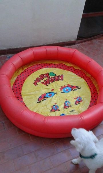 Pileta inflable de bebe