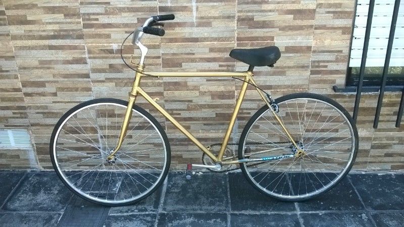 Bicicleta Rodado 28