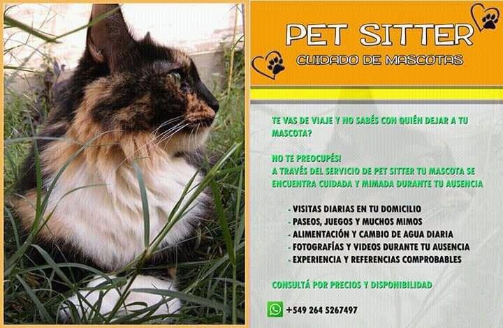 Cuidado de Mascotas - Pet Sitter